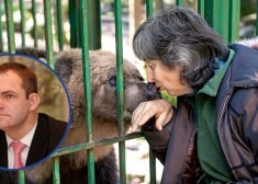 "Labi saprotu Velgas Vītolas emocionalitāti, sievietes mēdz būt emocionālas, taču mēs esam vienojušies par to, ka līdzko veselība ies uz augšu, mēs tiksimies un runāsim par sadarbību," sola Dabas aizsardzības pārvaldes vadītājs Jānis Strautnieks.