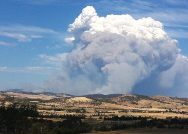 Austrālijā tūkstošiem cilvēku bēg no savvaļas ugunsgrēkiem. FOTO