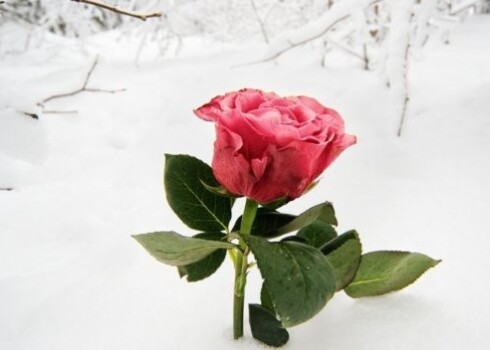 Viņš palika vienaldzīgs pret mani, pret bērniem un gatavojās atkal aizbraukt. Vienu reizi pieķēru, ka ir noņemts laulības gredzens. Kad prasīju, kas notiek, atbildēja, ka nekas.