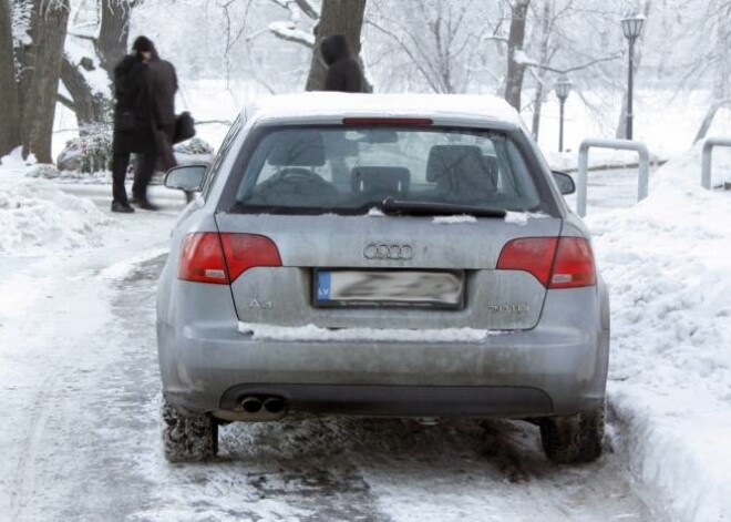 Kanālmalas apstādījumu dārznieces auto Bastejkalna vidū