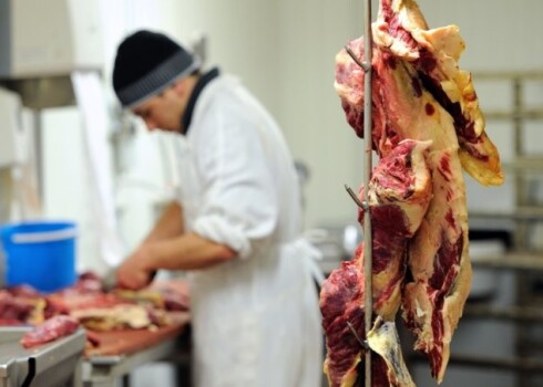 Zirga gaļas kilograms maksā 95 santīmus, kamēr liellopu gaļa - 1,50 latus par vienu kilogramu. Līdz ar to runa ir ne tikai par krāpšanos ar dokumentiem, bet arī par ievērojamiem naudas līdzekļiem.