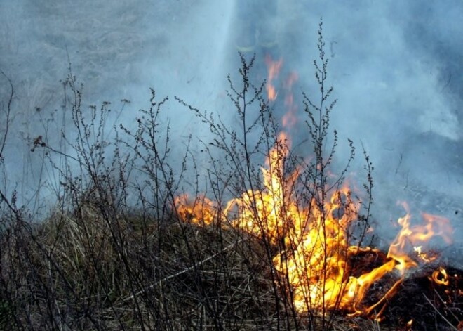 Kundziņsalā aiztur kūlas dedzinātāju