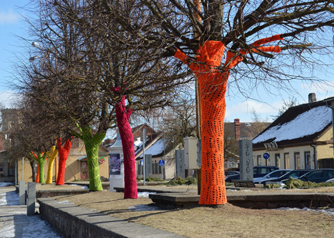 Kuldīgas koki ietērpušies Lieldienu kleitās. FOTO. VIDEO