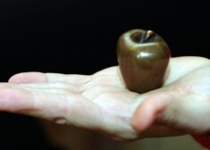 Grāmatu mākslas konkursa "Zelta ābele 2012" balva.