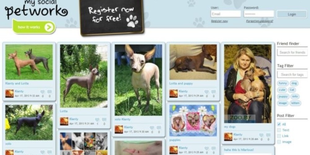 В Великобритании создали социальную сеть для домашних животных