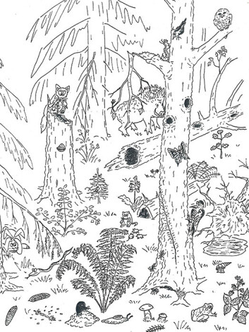 Melānijas Vanagas muzejs piedāvās leģendas, nostāstus un jaunus atklājumus tuvējā mežā.