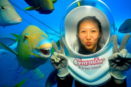 Другие рыбы улыбаться не умеют