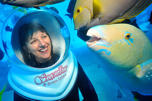 Туристы не могут сдержать улыбки при виде такого обаяния