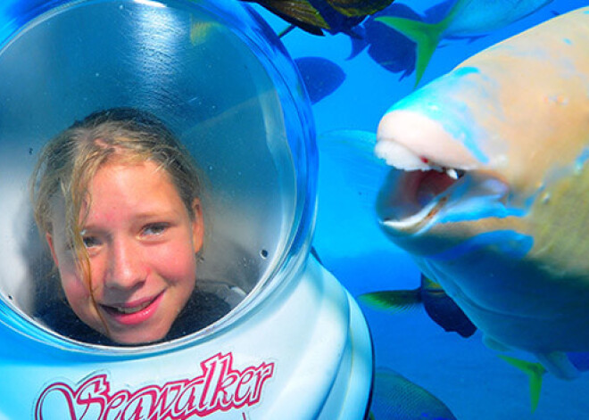 Рыба-улыбака