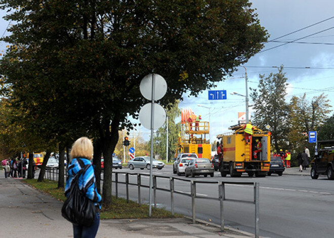 Sākusies publiskā apspriešana par paredzēto koku ciršanu Rīgā