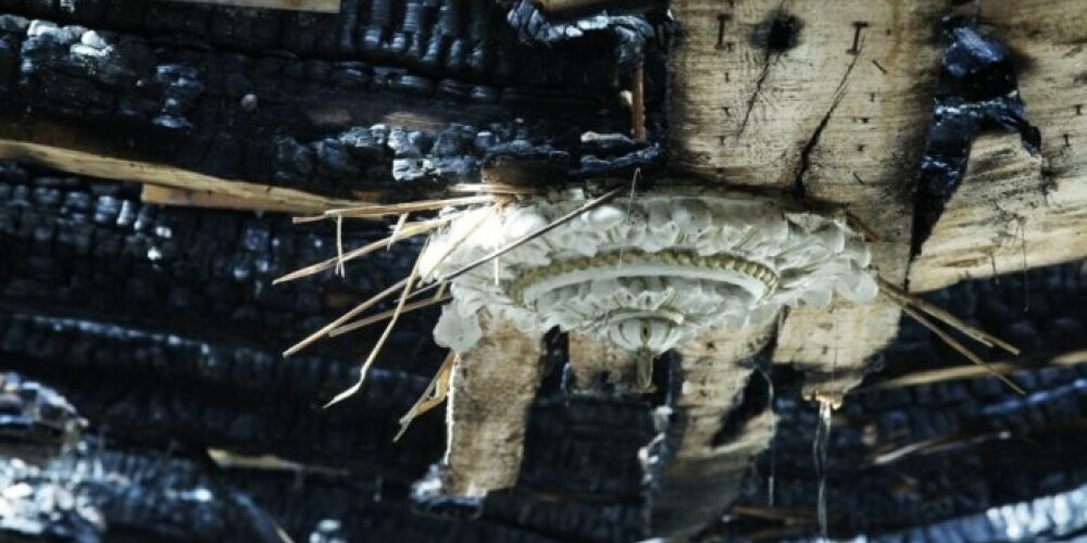 Пожар в Рижском замке причинил больше ущерба зданию, а не хранилищам