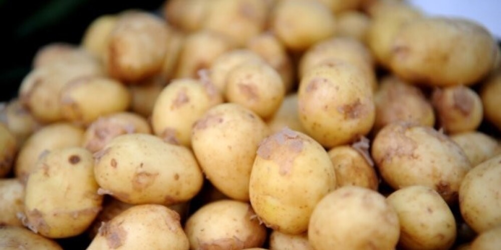 Россия запретила ввоз картофеля из ЕС