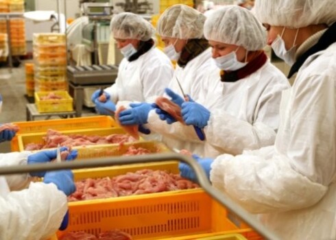 "Ķekava", "Broileks", "Cerova un "Lielzeltiņi" ir uzņēmumi, kas darbojas putnkopības jomā.