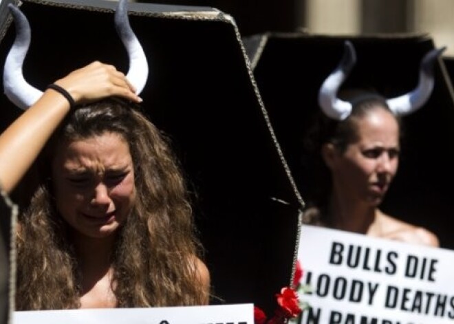 Puskailas sievietes zārkos protestē pret asiņaino vēršu skrējienu Pamplonā. FOTO