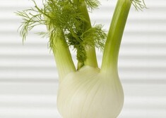 Считается, что фенхель восстанавливает гормональный баланс, связанный с симптомами ПМС