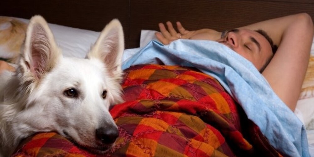 Aptauja: vientuļie vīrieši gultasveļu maina tikai četras reizes gadā