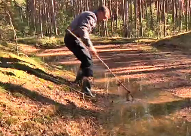 Jaunciema mežā atrod padomju laikā izveidotus mēslu dīķus. VIDEO