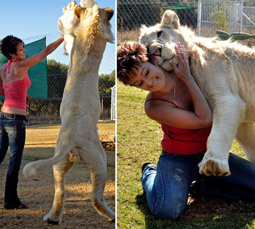 Тимба любит играть с хозяйкой в саду