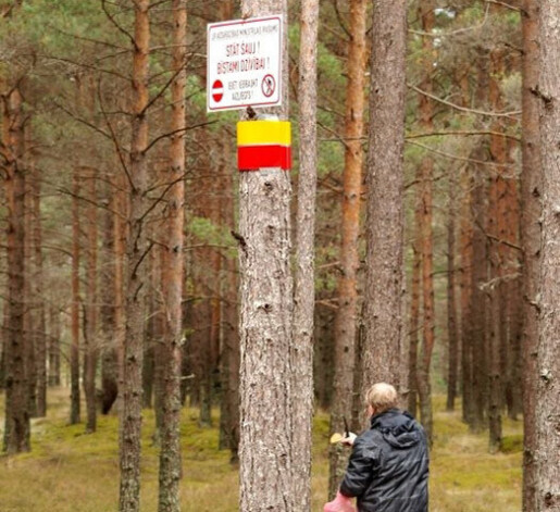 Kāre pēc sēnēm dažiem cilvēkiem ir tik liela, ka viņi Ādažu poligonā ir gatavi ignorēt zīmes, kas norāda, ka šajā vietā atrasties ir bīstami.