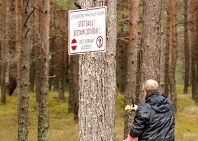 Ādažu poligonā sprāgst un šauj; sēņotāji drosmīgi meklē bekas