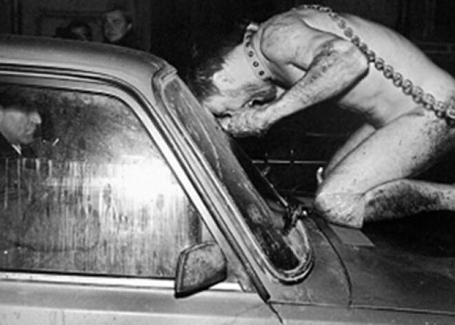 Перформанс Олега Кулика. В ожидании непредсказуемого