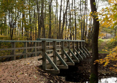 Nosaukums Zaļais veloceliņš šim celiņam dots tāpēc, ka tas pamatā vijas cauri pilsētas zaļajai zonai (Uzvaras un Arkādija parks, Māras dīķis un Mārupītes ieleja).