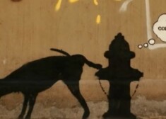 Уже третью неделю художник водит за нос целый город. Где появится его очередной опус, никто не знает