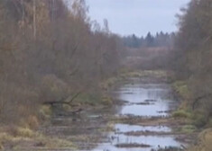 Pagaidām vēl neesot zināms piesārņojuma un zivju bojāejas cēlonis.