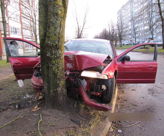 Salaspilī kāda ekstravaganta dzērājšofera vizināšanās ar auto pa savas mājas pagalmu beidzās ar ietriekšanos kokā. Pirms tam viņš paspēja apskādēt vēl septiņus spēkratus un nama sienu.