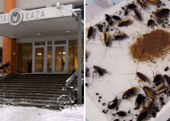 Vājprāts kojās Rīgā: prusaki, raudošas meitenes un draudi palikt bez pajumtes