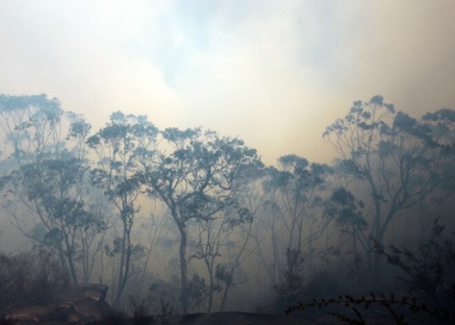 Austrālijā 2013.gads bijis karstākais vēsturē. FOTO