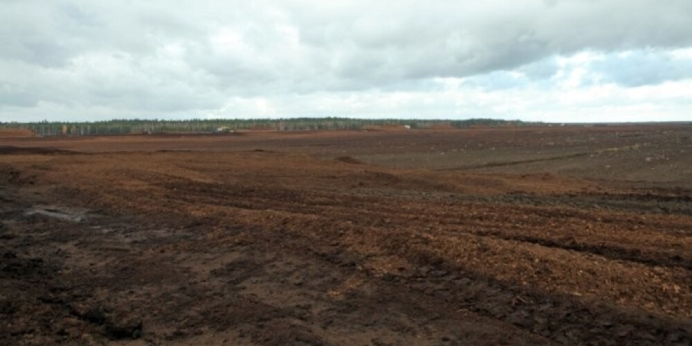 Экспорт торфа в 2013 году также превысил миллион тонн