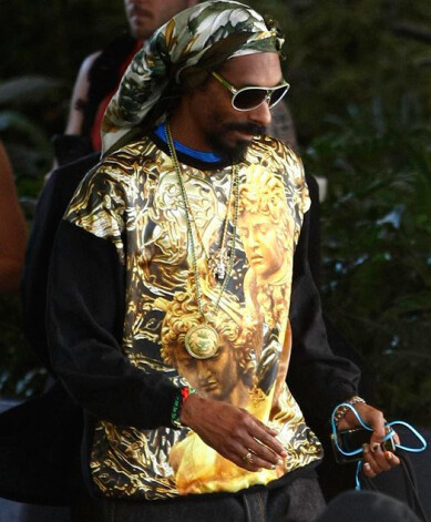 Reperis Snoop Dogg, Snoop Lion jeb Snoopzilla dodas prom no viesnīcas Austrālijā.