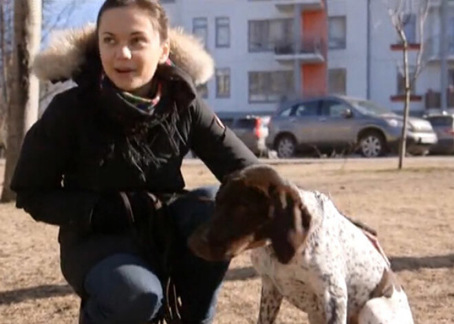 Dārtas Danevičas suns noskatījies 5 stundas garo izrādi "Vējiem līdzi". FOTO