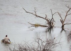 За неделю до мероприятия в СМИ попали фрагменты доклада, в которых прогнозировались гибель миллионов жителей прибрежных районов Азии в результате наводнений и затопления
