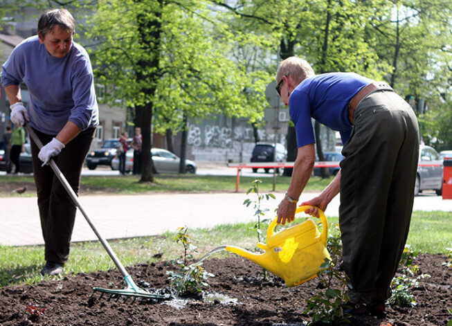 Sestdien un svētdien Jelgavā uz lielajām Stādu dienām pulcēsies Latvijas labākie stādu audzētāji un kolekcionāri, lai visiem dārza mīļotājiem piedāvātu visu to labāko un skaistāko.