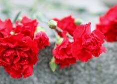 ПБ предупреждает, что на мероприятиях 9 мая возможны и другие нарушения, в том числе использование запрещенной советской и нацисткой символики