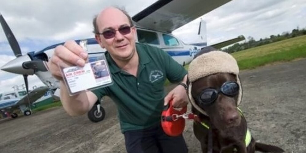 Собака впервые в истории получила права пилота