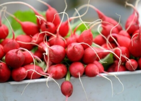 Redīsi ar ķimenēm ir ne vien oriģināls, bet arī gards un sātīgs pavasara ēdiens.