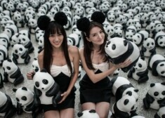 В аэропорту Гонконга выставили 1600 панд из папье-маше. ФОТО