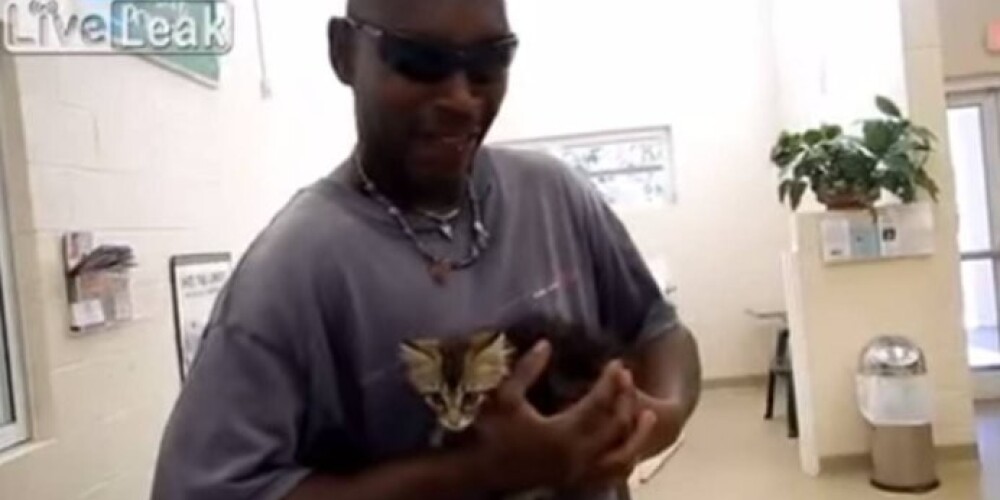 Американец разрезал свой пикап, чтобы достать котенка. ВИДЕО