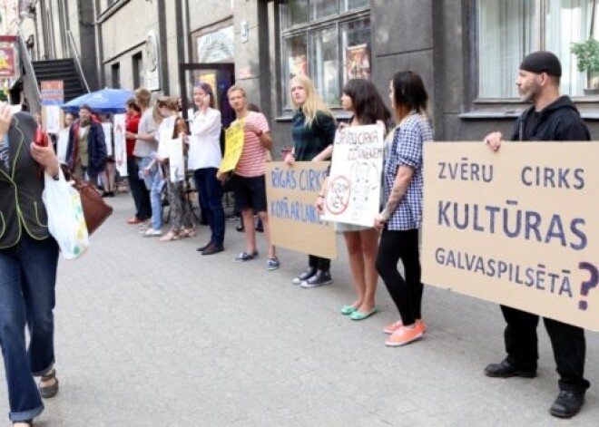 Ziloņiem arī sāp! Ļaudis cīnās pret zvēru izmantošanu šoviem cirkā. FOTO