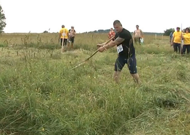 Pļaviņās noritējis čempionāts pļaušanā ar rokas izkapti. VIDEO