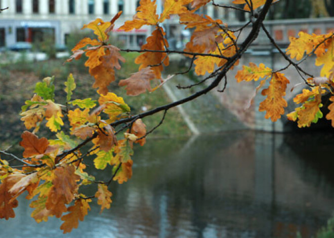 Zināms, kad iestāsies rudens un kāda būs ziema