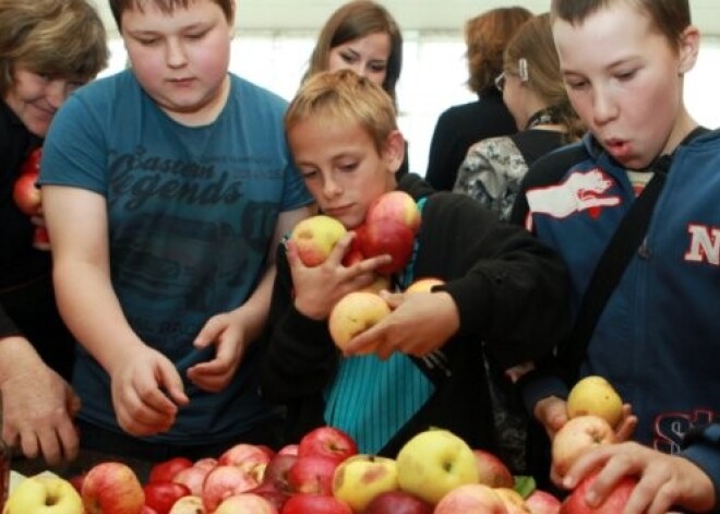 Фермеров призывают жертвовать продукты нуждающимся