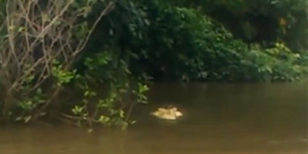 57-летнего рыбака съела главная достопримечательность природного заказника