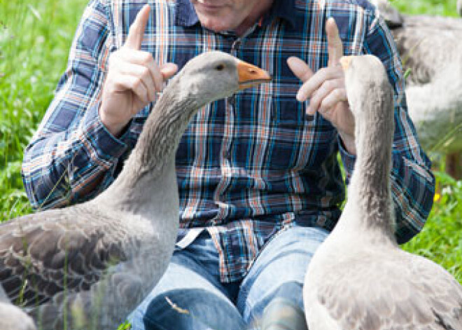 Iepazīstamies! "Lauku sētas" dalībnieki, kuri sāks cīņu par traktoru. FOTO
