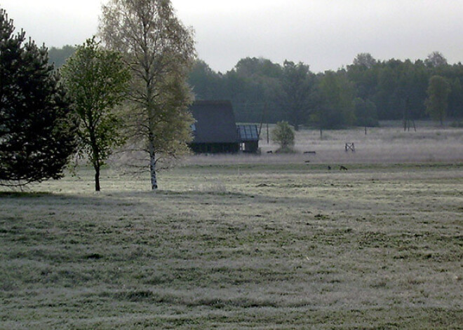 Pagājušajā naktī piedzīvotas pirmās rudens salnas