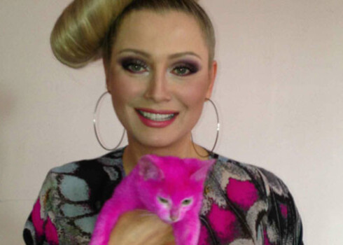 Розовый котенок Лены Лениной стал причиной скандала