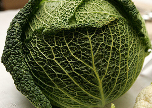 Par godu kāpostiem sestdien, 27. septembrī, Rundāles novada Svitenē notiks vērienīgi pirmie Kāpostu svētki.